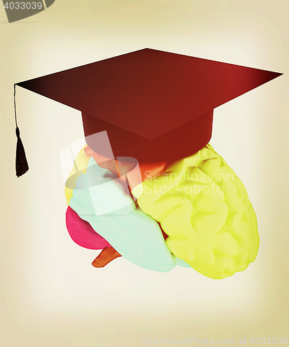 Image of graduation hat on brain. 3D illustration. Vintage style.