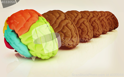 Image of Human brains. 3D illustration. Vintage style.