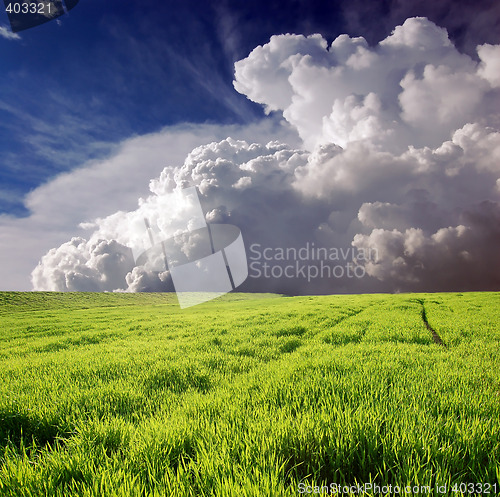 Image of Green field and white clouds