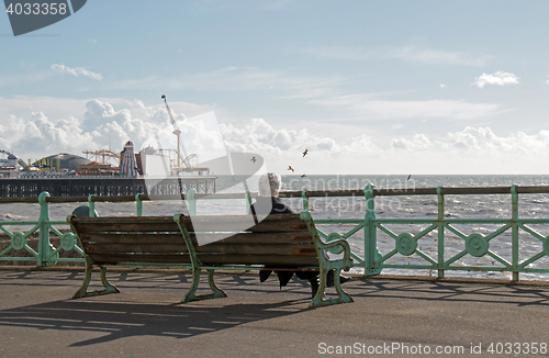 Image of Person on Brighton Promenade