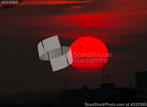 Image of Sunset and Silhouettes
