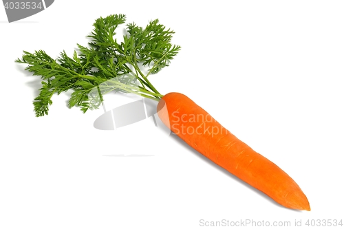 Image of Fresh carrot on white