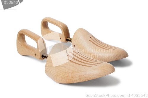 Image of Shoe trees