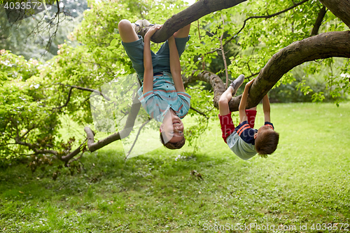 Image of two happy boys hanging on tree in summer park