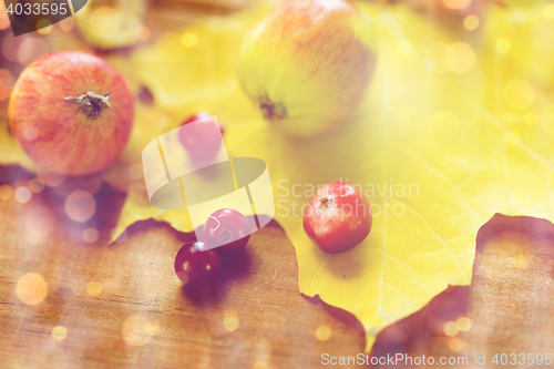 Image of close up of autumn leaves, fruits and berries