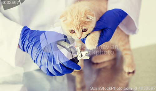 Image of close up of vet with clipper cutting cat nail