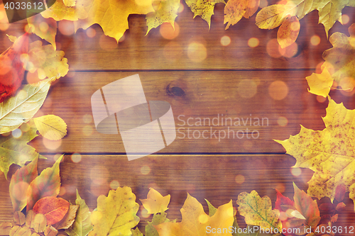 Image of frame of many different fallen autumn leaves