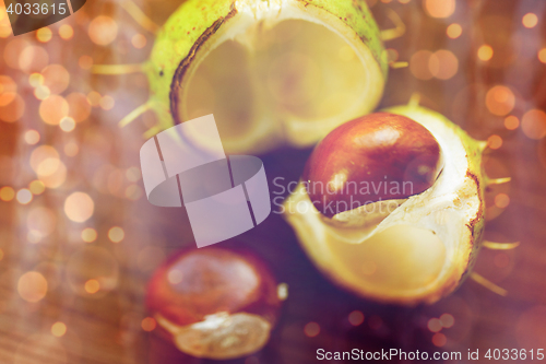 Image of close up of chestnut on wooden table