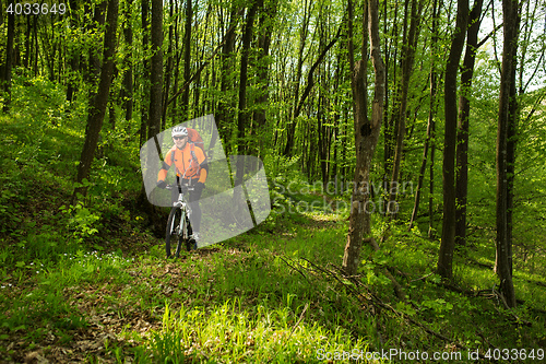 Image of Cyclist Riding the Bike on a Trail in Summer Forest