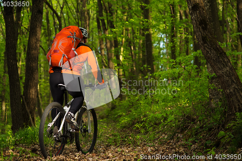 Image of Cyclist Riding the Bike on a Trail in Summer Forest