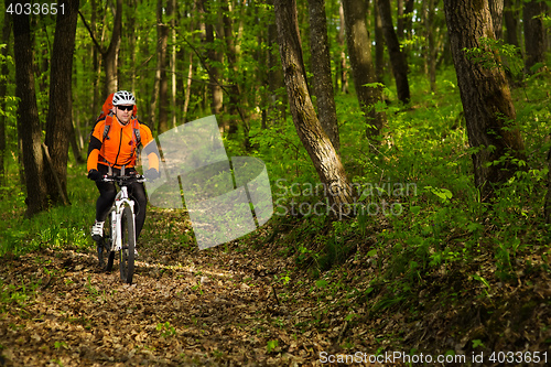 Image of Cyclist Riding the Bike on a Trail in Summer Forest