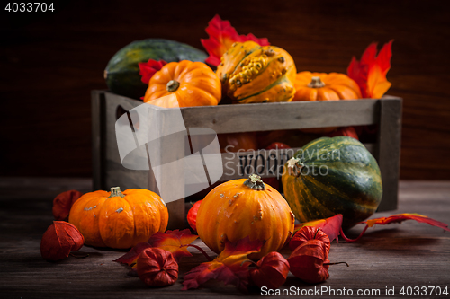 Image of Thanksgiving and  Halloween