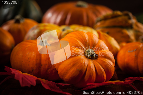 Image of Thanksgiving and  Halloween