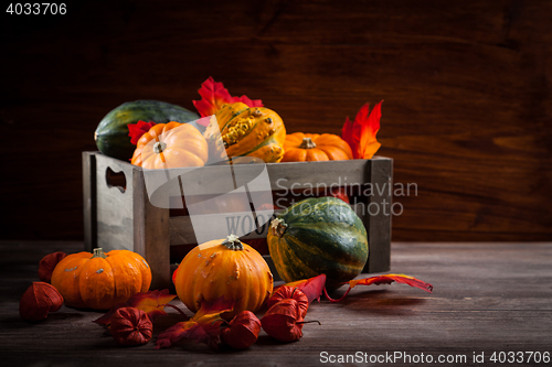 Image of Thanksgiving and  Halloween