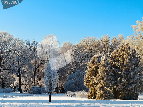 Image of winter park