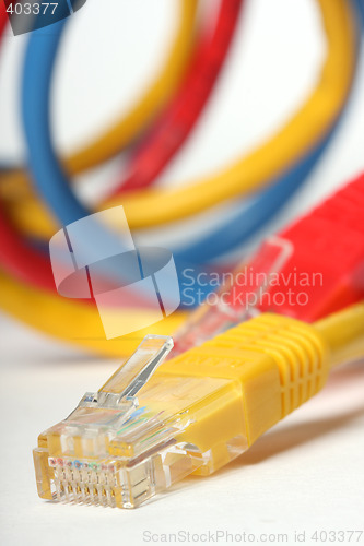 Image of network cable