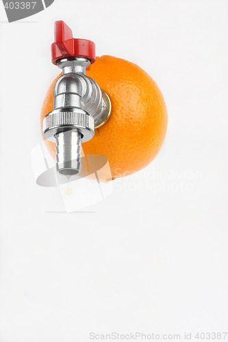 Image of fresh orange