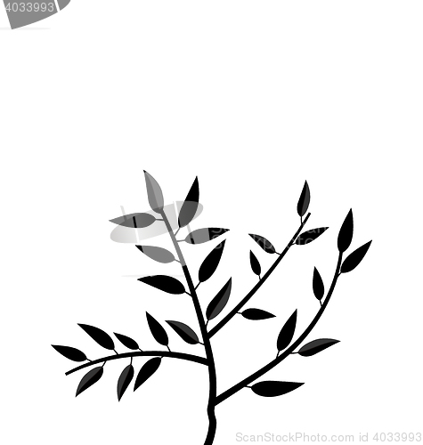 Image of  Black Silhouette Branch Tree with Leafs