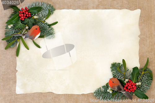 Image of Winter Flora and Robin Border