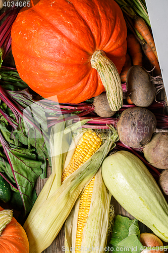 Image of Autumn vegetables close-up