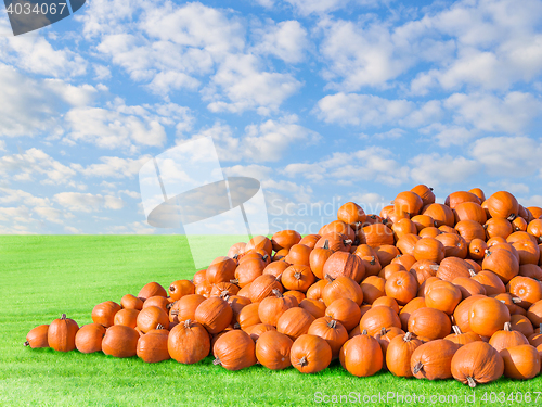 Image of Pile of big orange natural rustic pumpkins patch field