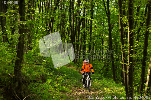 Image of Cyclist Riding the Bike on a Trail in Summer Forest