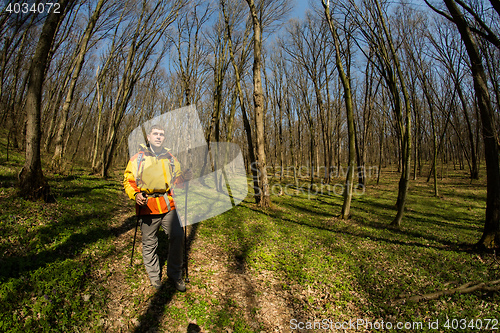 Image of Male hiker looking to the side walking in forest