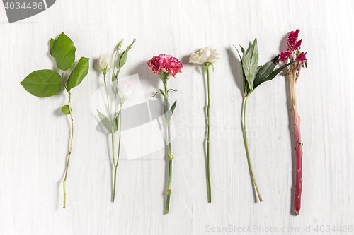 Image of The flowers on white wooden background