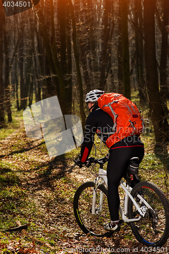 Image of Cyclist Riding the Bike on a Trail in Summer Forest