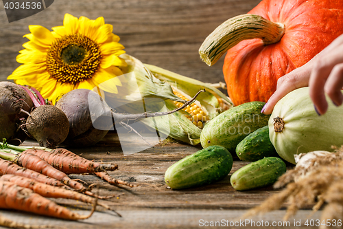 Image of Vegetables, pumpkin and sunflowers