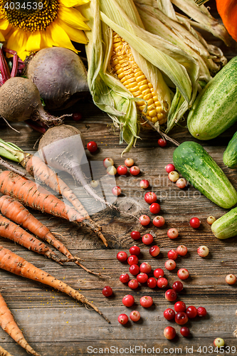 Image of Scattered cranberry and vegetables