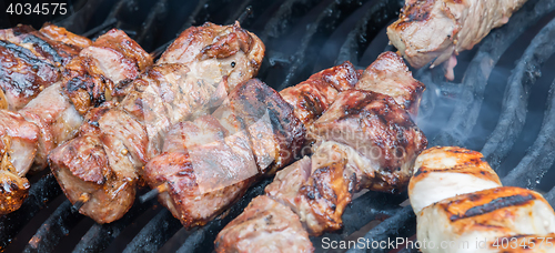 Image of juicy hot shish kebab on the grill