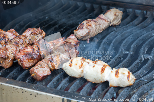 Image of juicy hot shish kebab on the grill