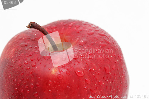 Image of tasty red apple