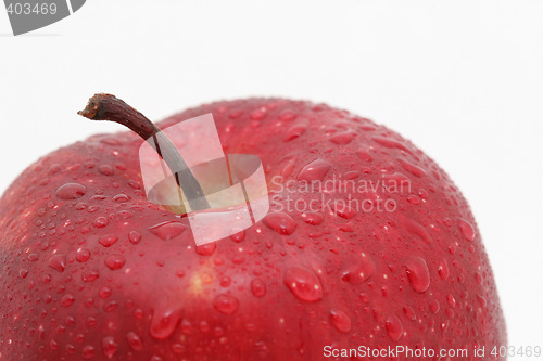 Image of fancy red apple