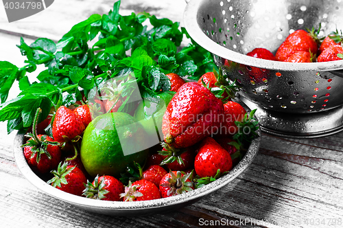 Image of 