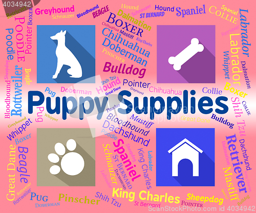 Image of Puppy Supplies Indicates Merchandise Pets And Purebred