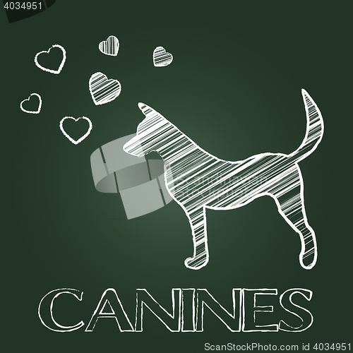 Image of Canines Word Shows Doggy Pet And Pets