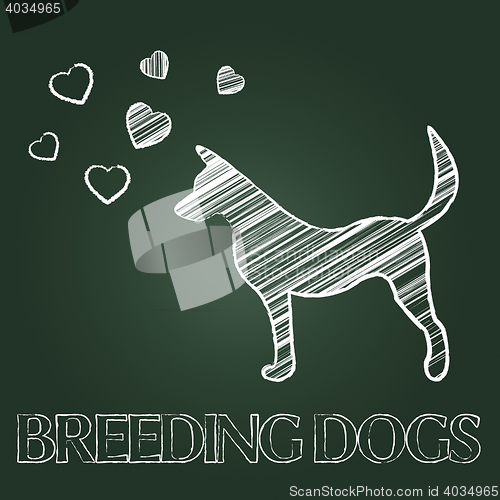 Image of Breeding Dogs Means Mating Canines And Offspring