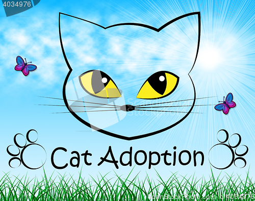 Image of Cat Adoption Indicates Guardianship Kitty And Adopting