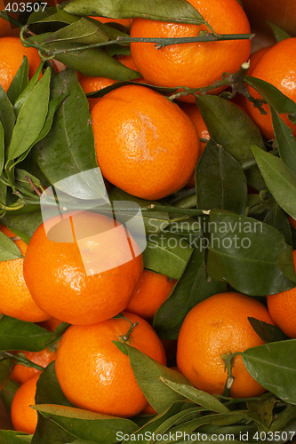 Image of orange fruits