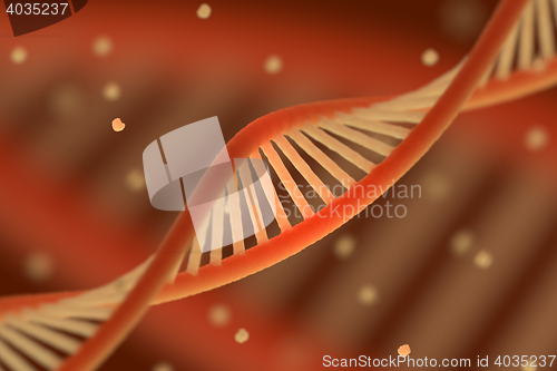 Image of DNA chain macroshot.