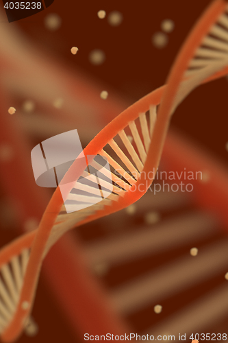 Image of DNA chain macroshot.
