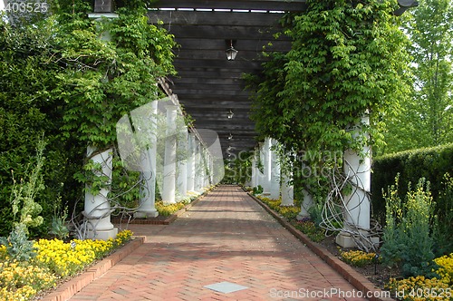 Image of Garden walk