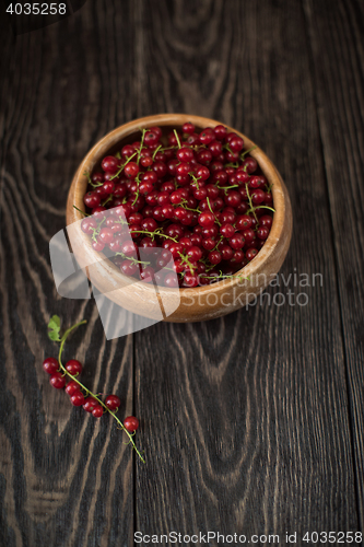 Image of Fresh red currants