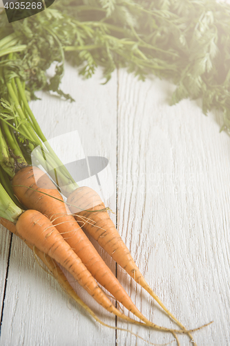 Image of Freshly grown carrots