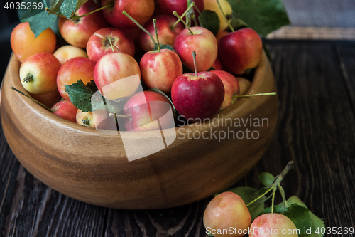 Image of Fresh harvest of apples