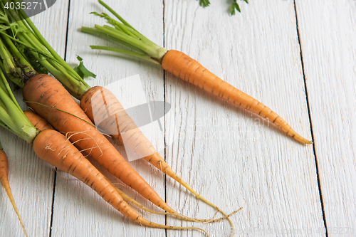 Image of Freshly grown carrots