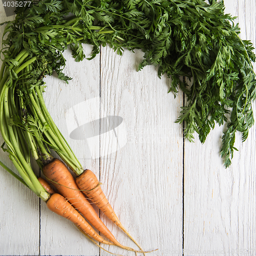 Image of Freshly grown carrots