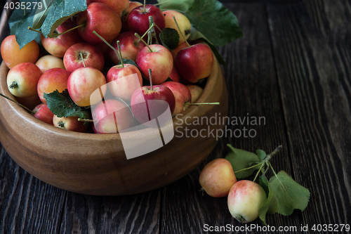 Image of Fresh harvest of apples